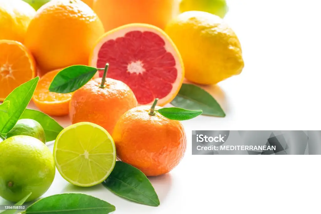 Varied group of citrus fruits closeup oranges tangerines lime lemon and  grapefruit isolated on white background